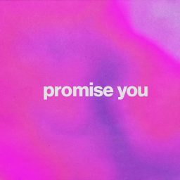 D.O.D feat. Flynn - Promise You